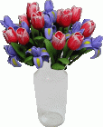 (image for) Pink Tulips & Purple Irises in Glass Vase