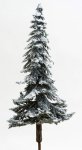 (image for) Snow Covered Eastern Blue Spruce Tree On A Spike