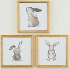 (image for) Bunny Picture Set 3pc