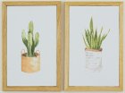 (image for) Potted Succulent Framed Picture Set 2pc