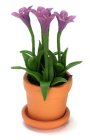 (image for) Purple Gentiana Sino in Pot