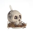 (image for) Skull Candle Arrangement