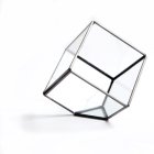 (image for) Cube Shaped Geo Glass Terrarium Fairy Garden