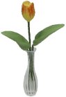 (image for) Yellow & Orange Tulip in Clear Vase