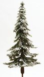 (image for) Snow Covered Appalachian Green Spruce Tree On A Spike