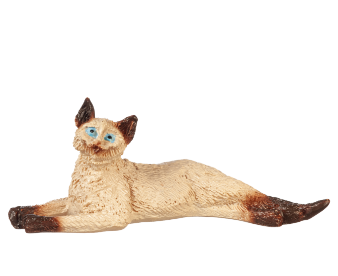 (image for) Siamese Stretched Cat