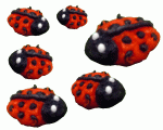 (image for) Ladybugs Assorted Sizes 6pc