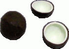 (image for) Coconut 1 Whole and 2 Halves