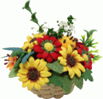 (image for) Sunflower Arrangement in Basket White & Yellow