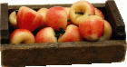 (image for) Macintosh Apples in Crate