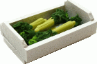 (image for) Celery in Whitewashed Crate