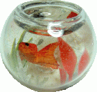 (image for) Fish Bowl