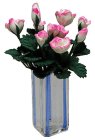 (image for) Pink & White Roses in Blue Striped Square Vase 12pc