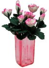 (image for) Pink & White Roses in Pink Sqaure Vase 12pc