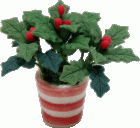 (image for) Holly in Red & White Pot