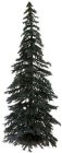 (image for) 10 Inch Tall Blue Spruce Tree