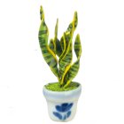 (image for) Sansevieria in Pot Green