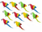 (image for) Parrot 10pc