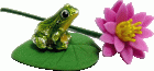 (image for) Frog on Lily Pad w/ Flower