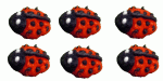 (image for) Tiny Ladybugs 6pc