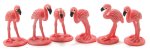 (image for) Flamingo 6pc