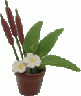 (image for) Cattail Arrangement in Pot