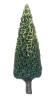 (image for) Pine Trees 6pcs