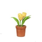 (image for) Tulips in Clay Pot - Yellow