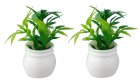 (image for) Green House Plant - Set 5 - 2pc