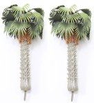 (image for) Mediterranean Fan Palm Trees 2pc