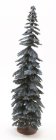 (image for) 12in Tall Blue Spruce Tree