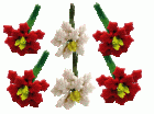 (image for) Half Dozen Poinsettias Red & White