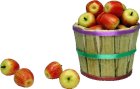 (image for) Macintosh Apples in Bushel Basket