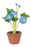 (image for) Potted Morning Glory Bright Blue