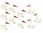 (image for) Swan 10pc