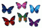 (image for) Butterflies Assorted 6pc