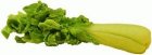 (image for) Celery 6pc