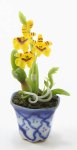 (image for) Genisteae Flower Arrangement Yellow