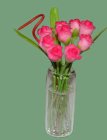 (image for) Pink Roses in Vase