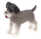 (image for) Schnauzer Dog