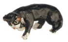 (image for) 1/4in Scale Cat - Black & White