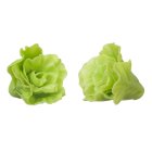 (image for) Lettuce 2pc