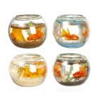 (image for) 4pc Fish Bowls Set