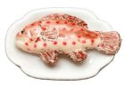 (image for) Grouper Fish on Plate