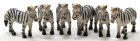 (image for) Zebra 6pc