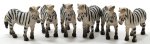 (image for) Zebra 6pc