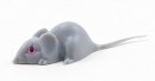 (image for) Mouse Gray