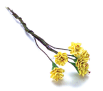 (image for) Yellow Prunus 6pcs