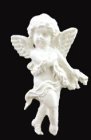 (image for) Angel Applique 2pc