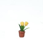 (image for) Small Tulips in Clay Pot - Yellow